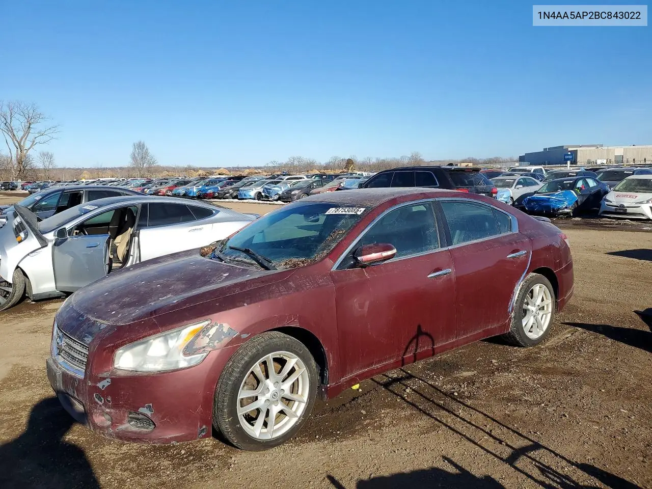 Nissan Maxima (A35)