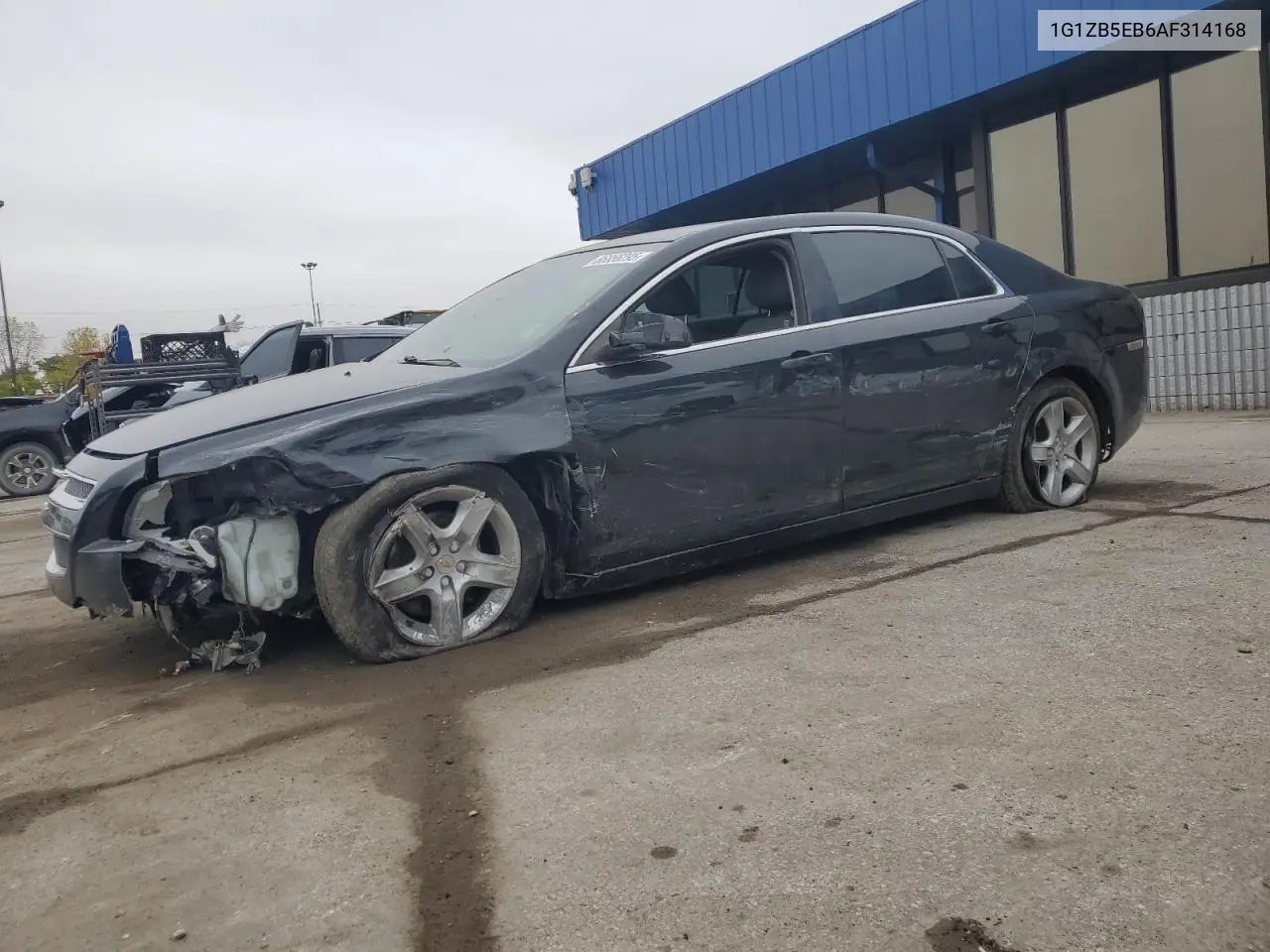 Chevrolet Malibu (VII)