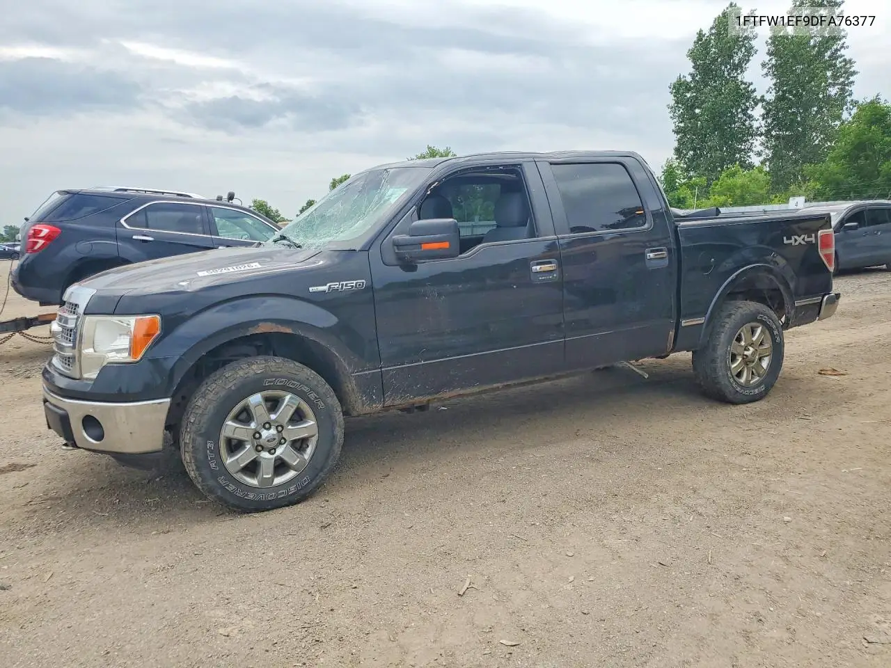 Ford F-150 (XII)
