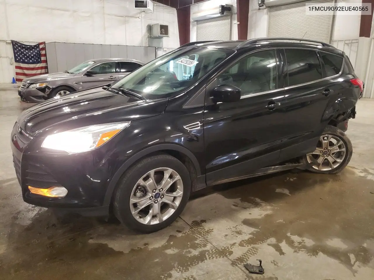 Ford Escape (III)
