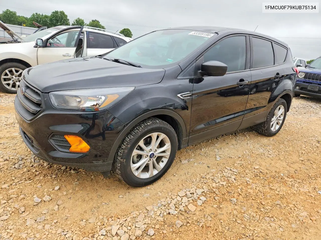 Ford Escape (III)