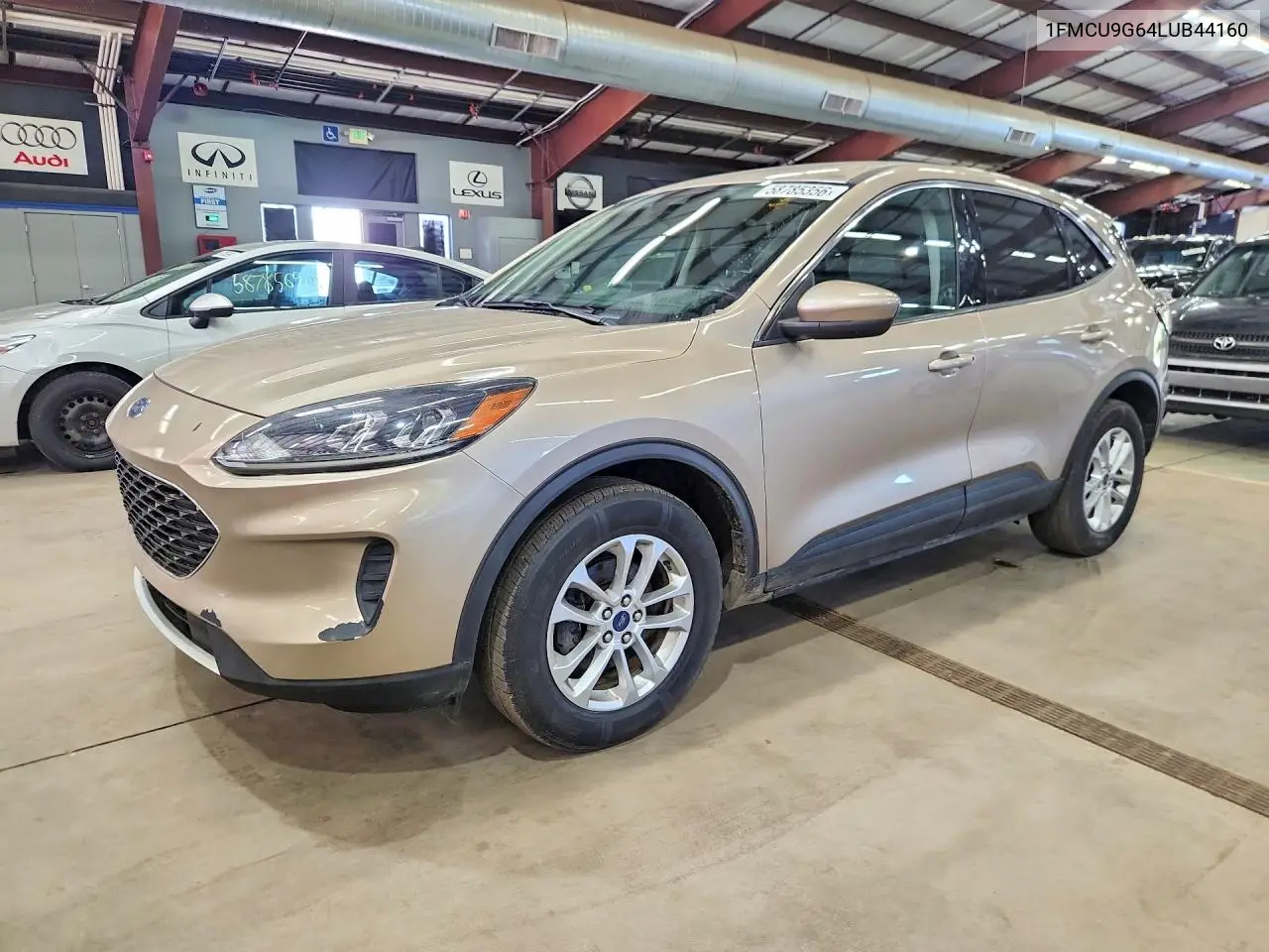 Ford Escape (III)