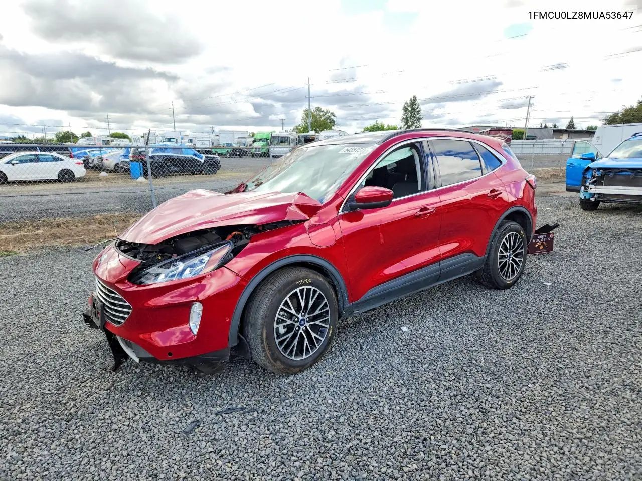 Ford Escape (IV)