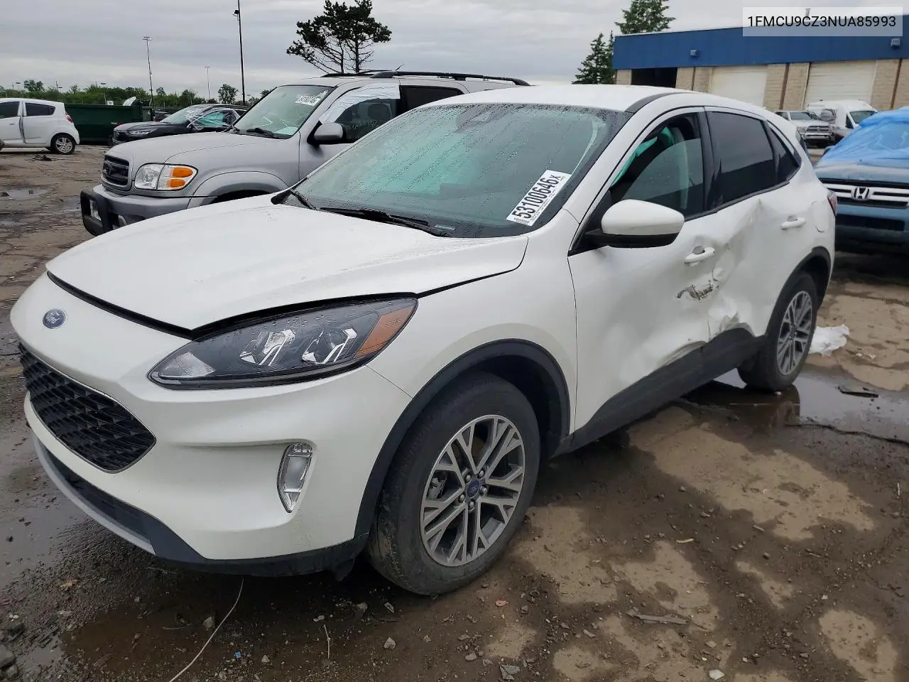 Ford Escape (IV)