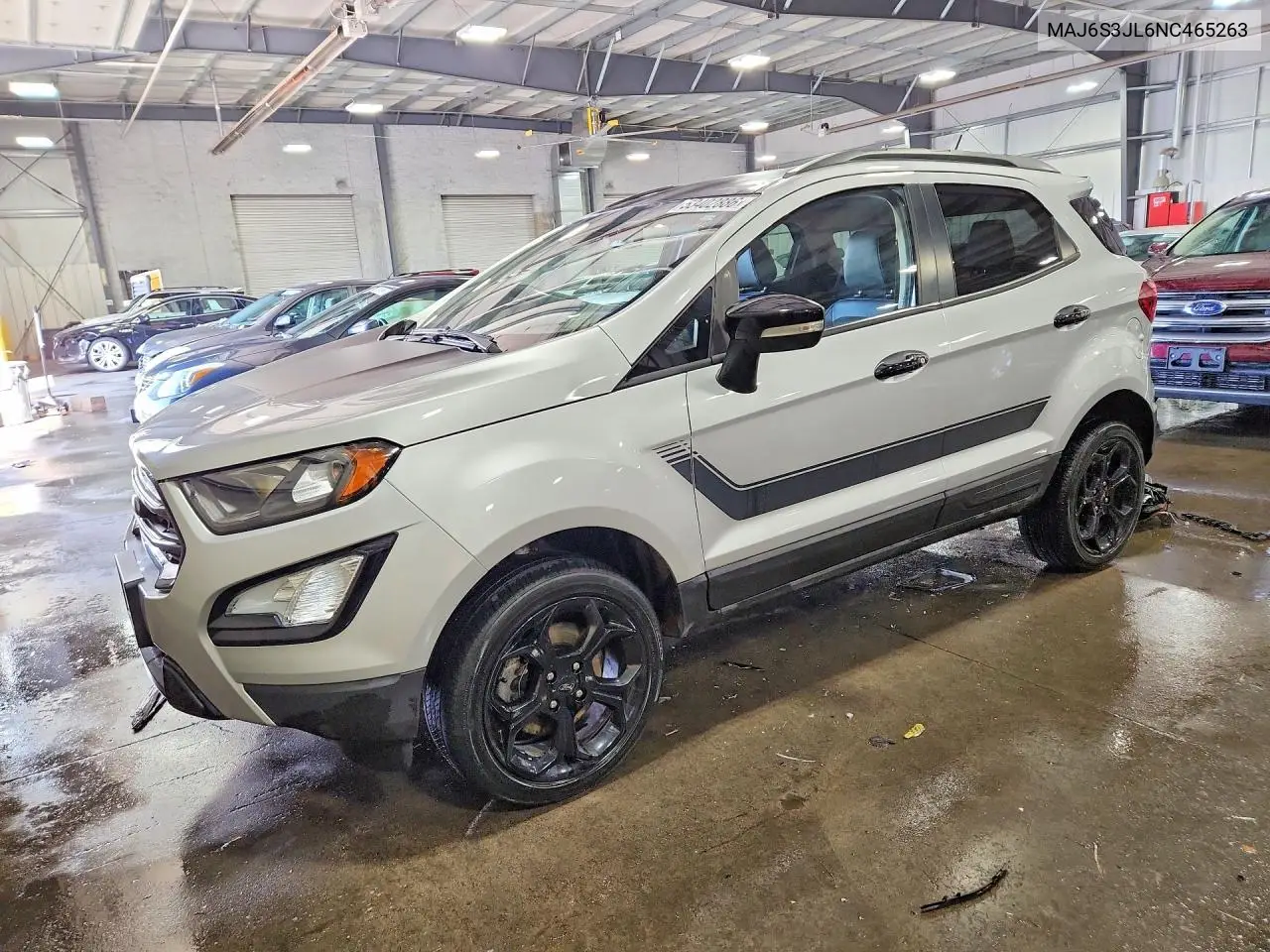 Ford EcoSport (I)