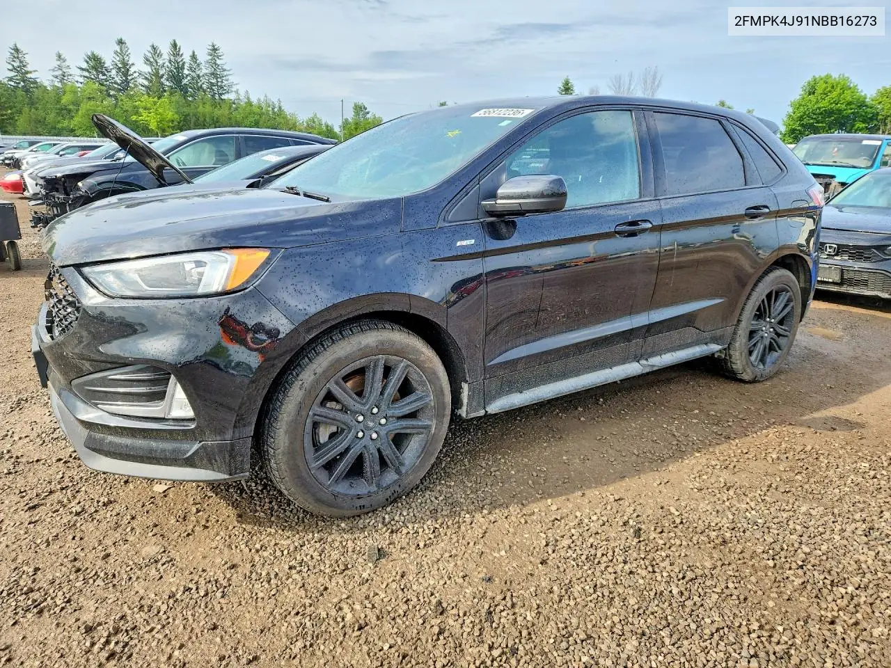 Ford Edge (II)