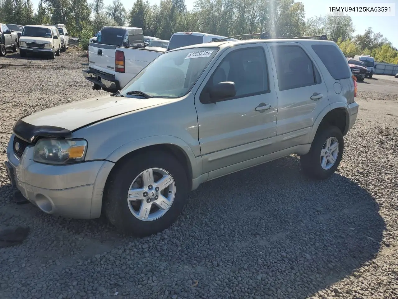 Ford Escape (I)