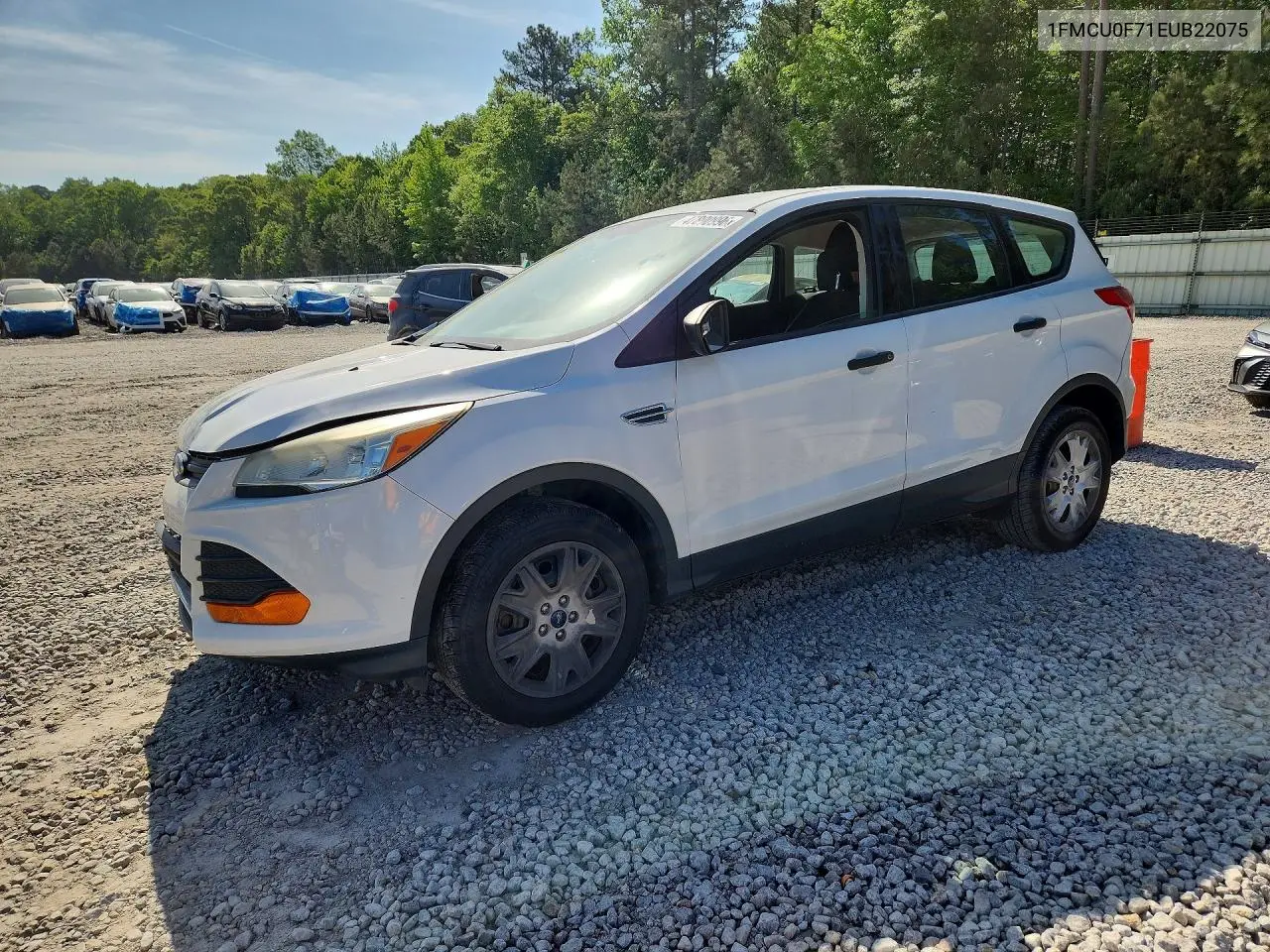 Ford Escape (III)