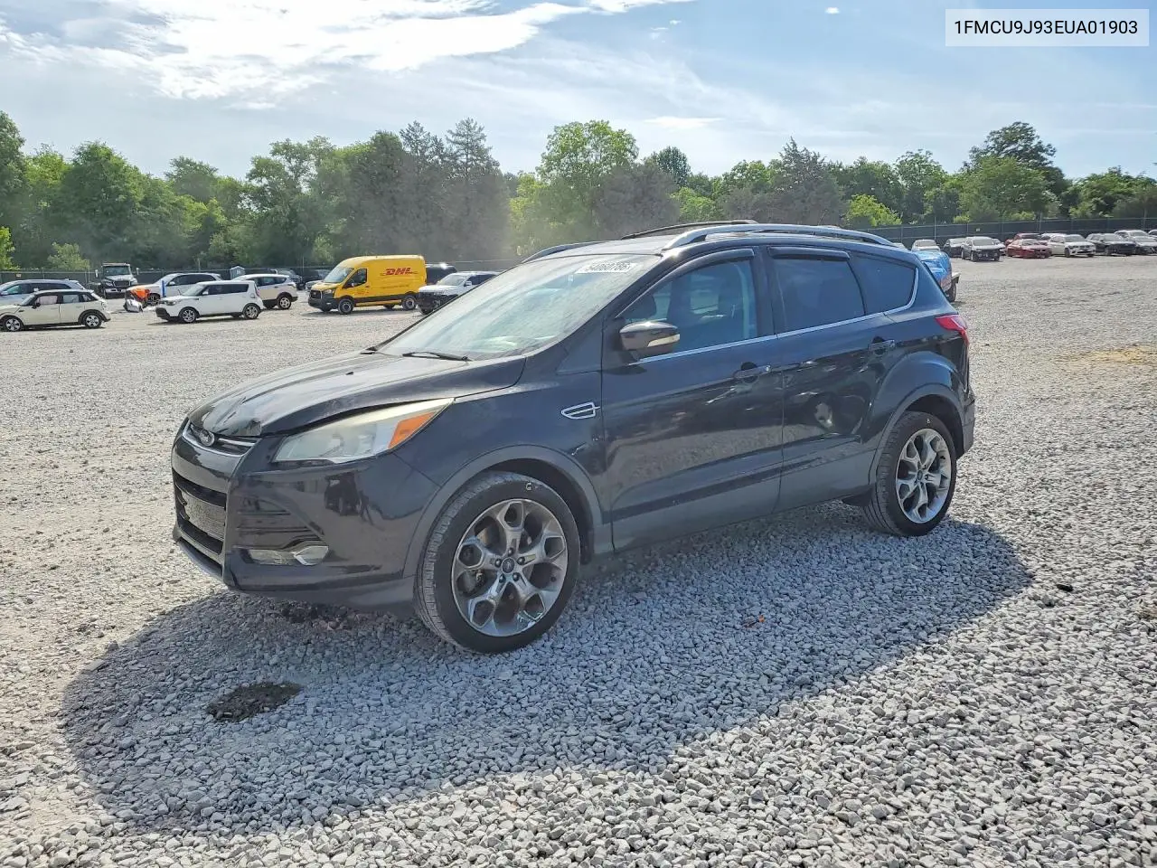 Ford Escape (III)
