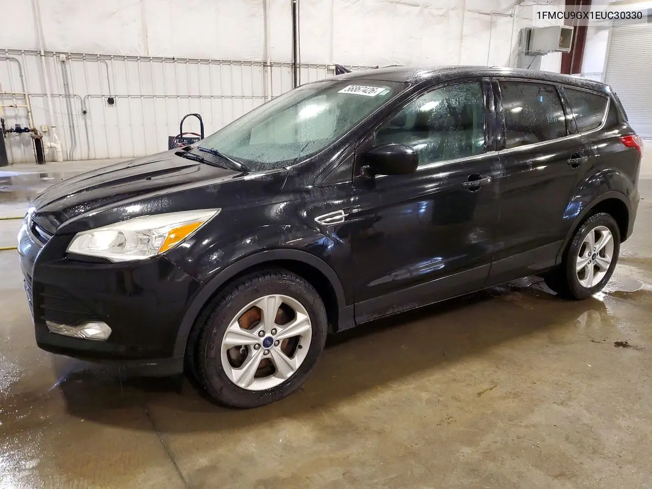 Ford Escape (III)