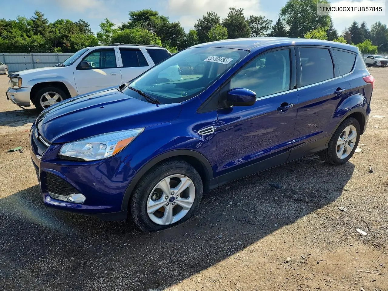 Ford Escape (III)