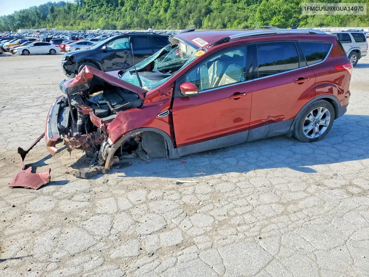 Ford Escape (III)