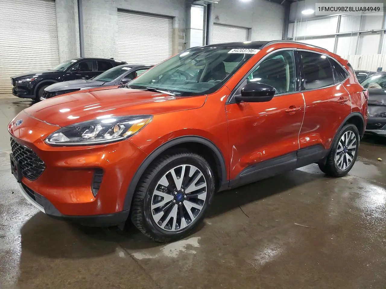 Ford Escape (III)