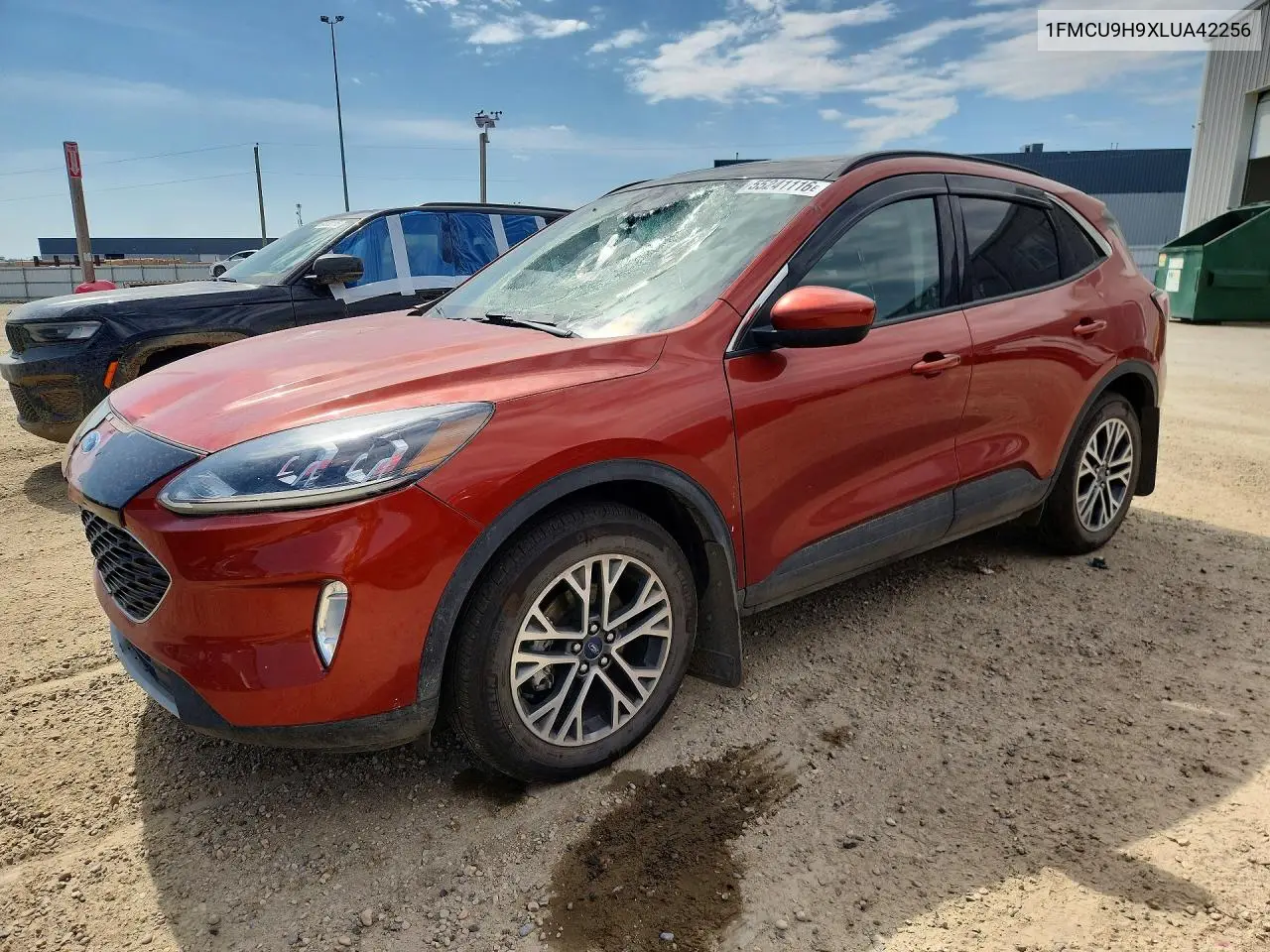 Ford Escape (III)