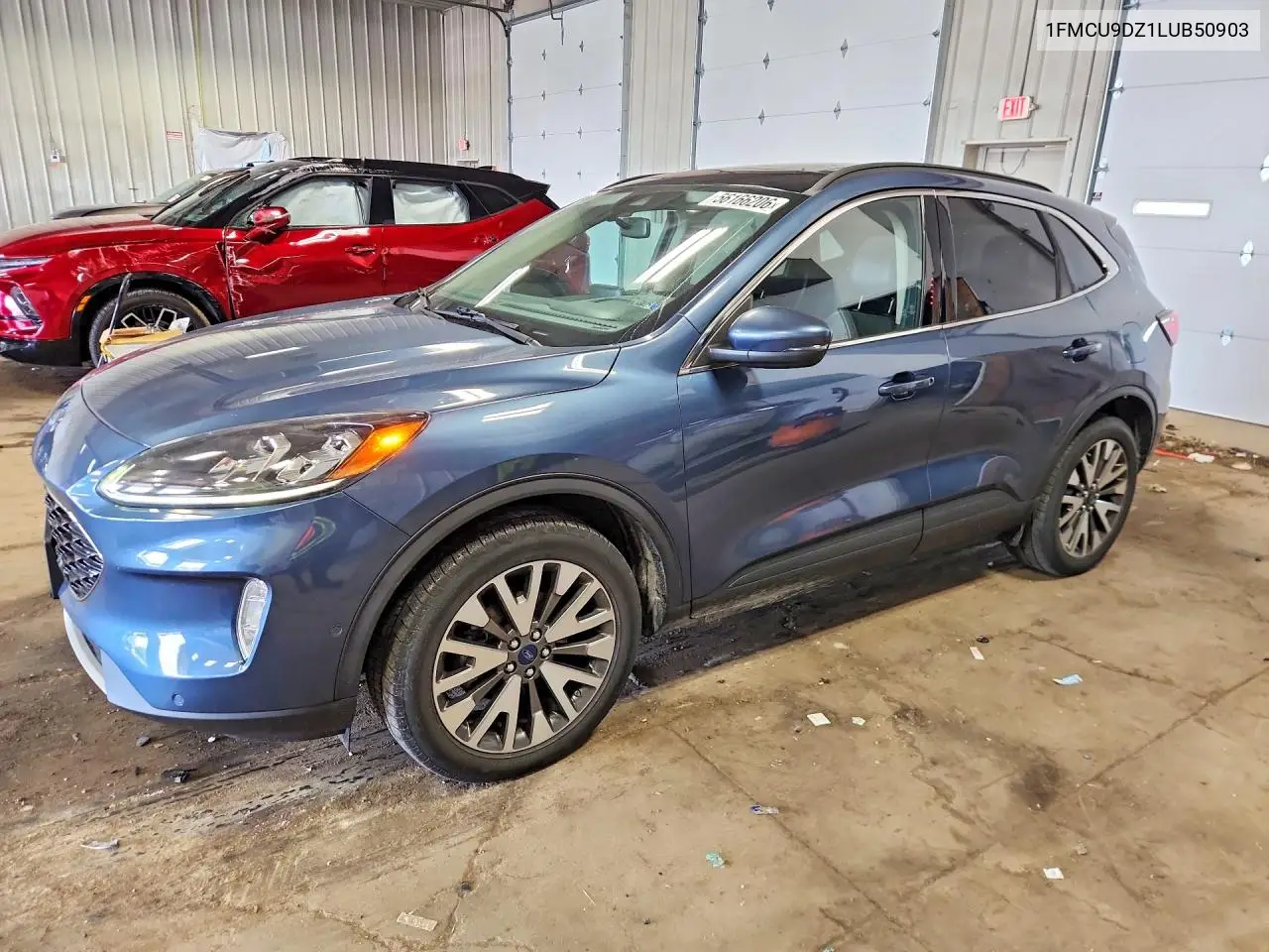 Ford Escape (III)