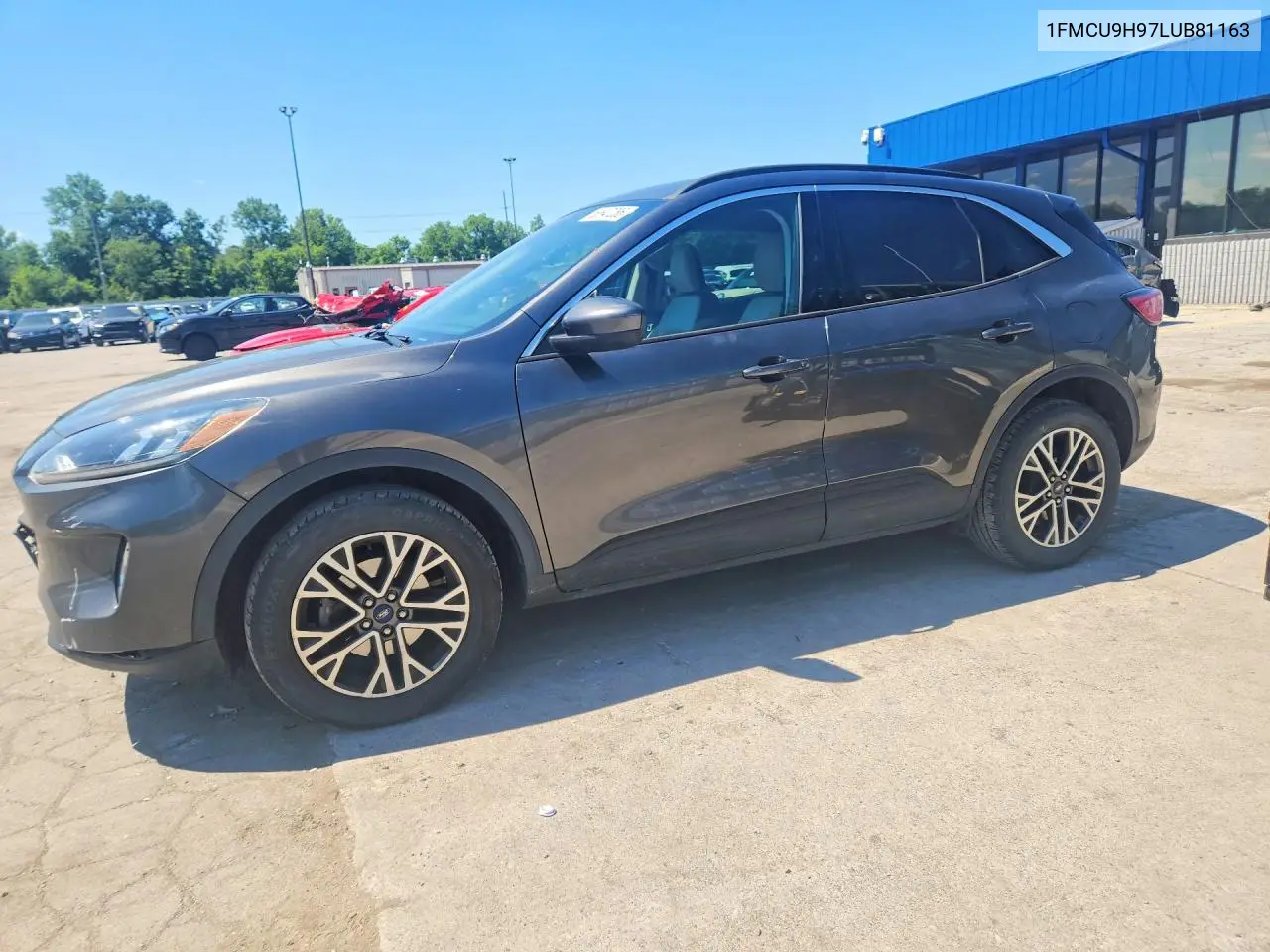 Ford Escape (III)
