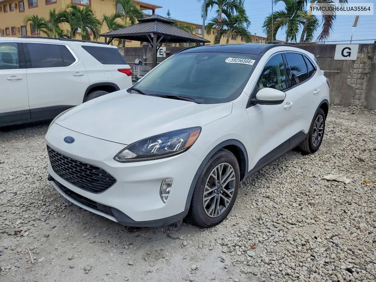 Ford Escape (III)