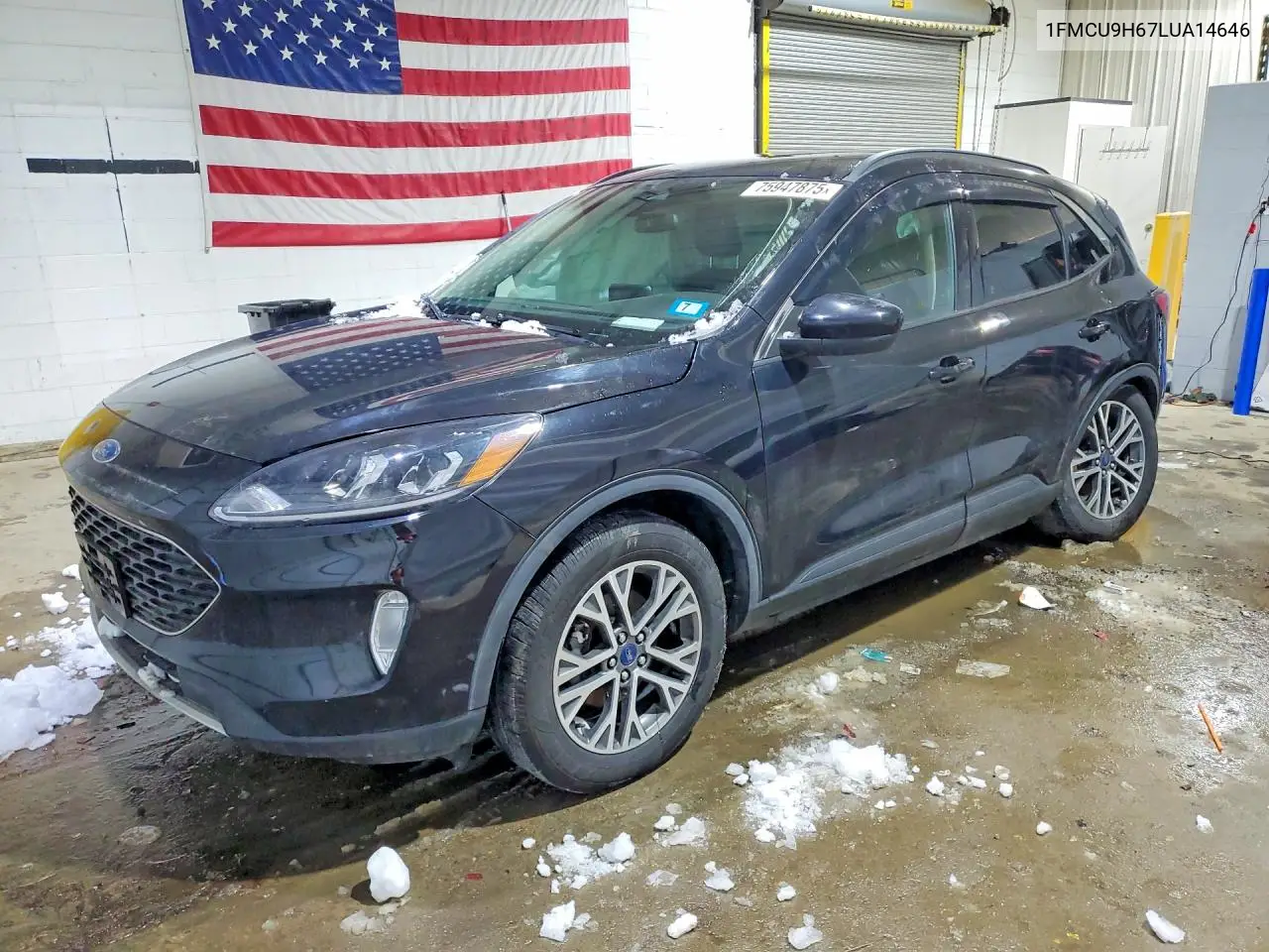 Ford Escape (III)