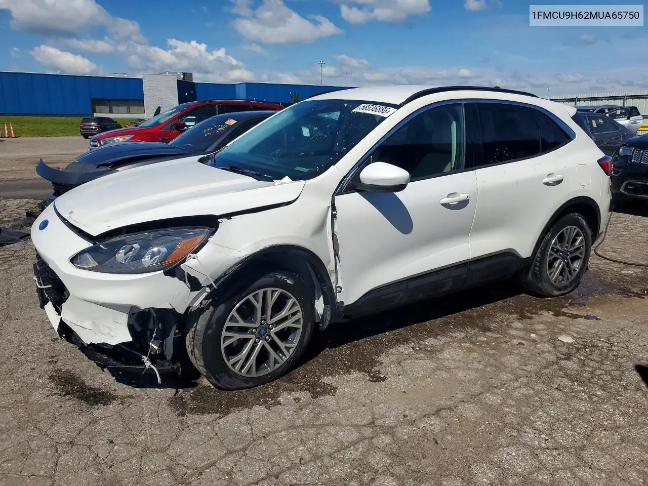 Ford Escape (IV)