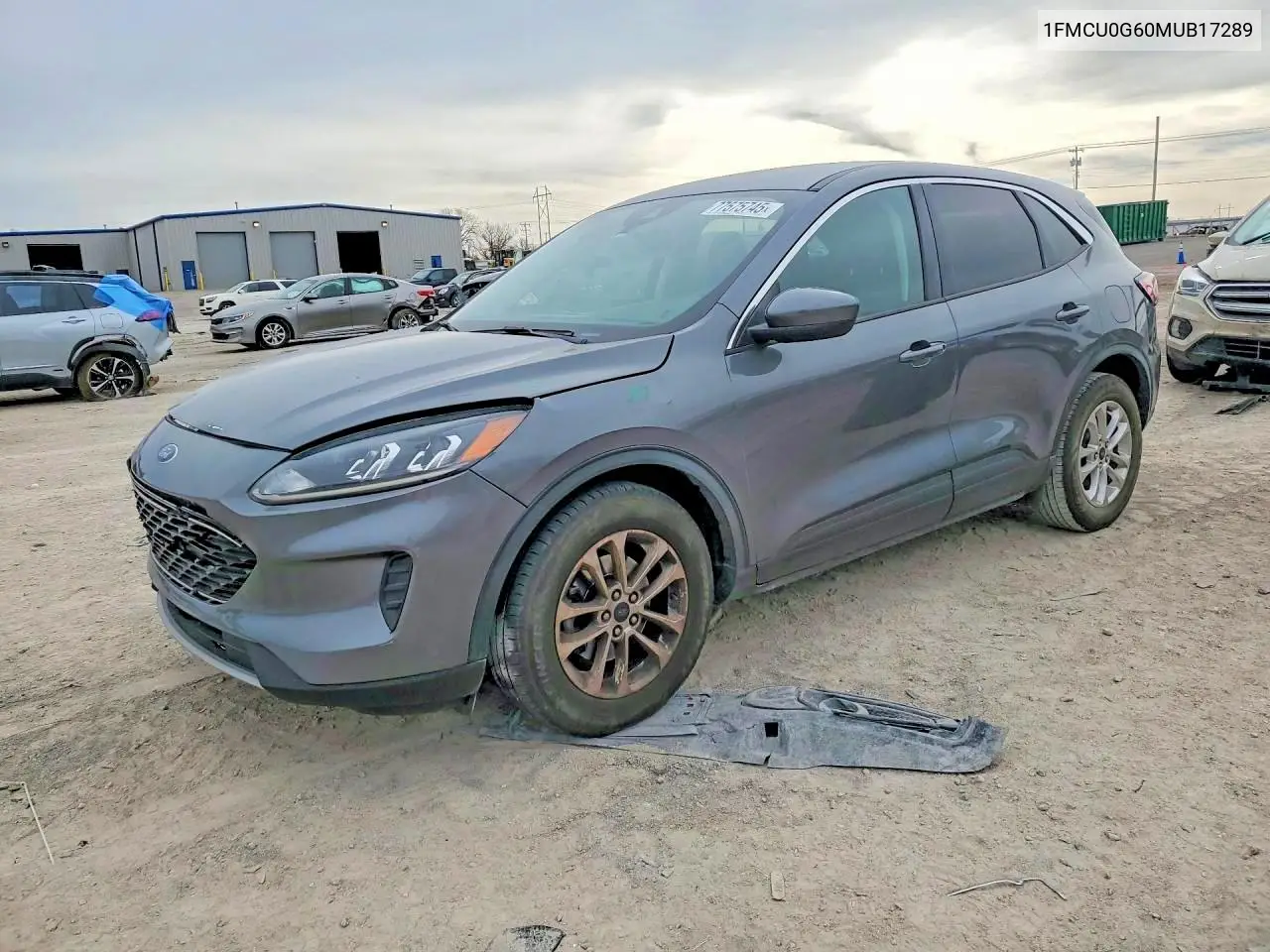 Ford Escape (IV)