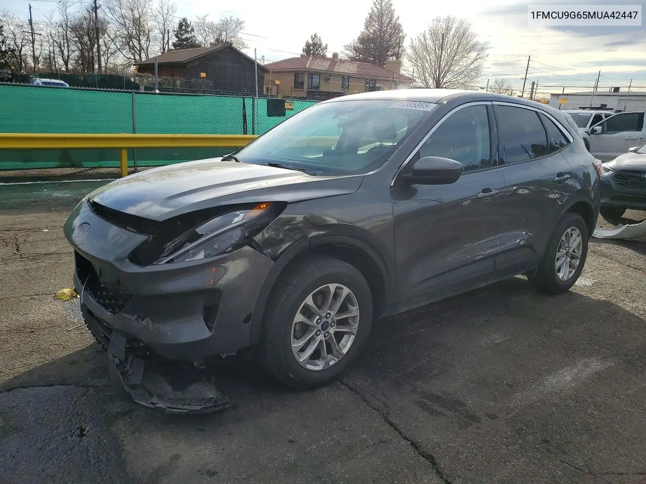 Ford Escape (IV)