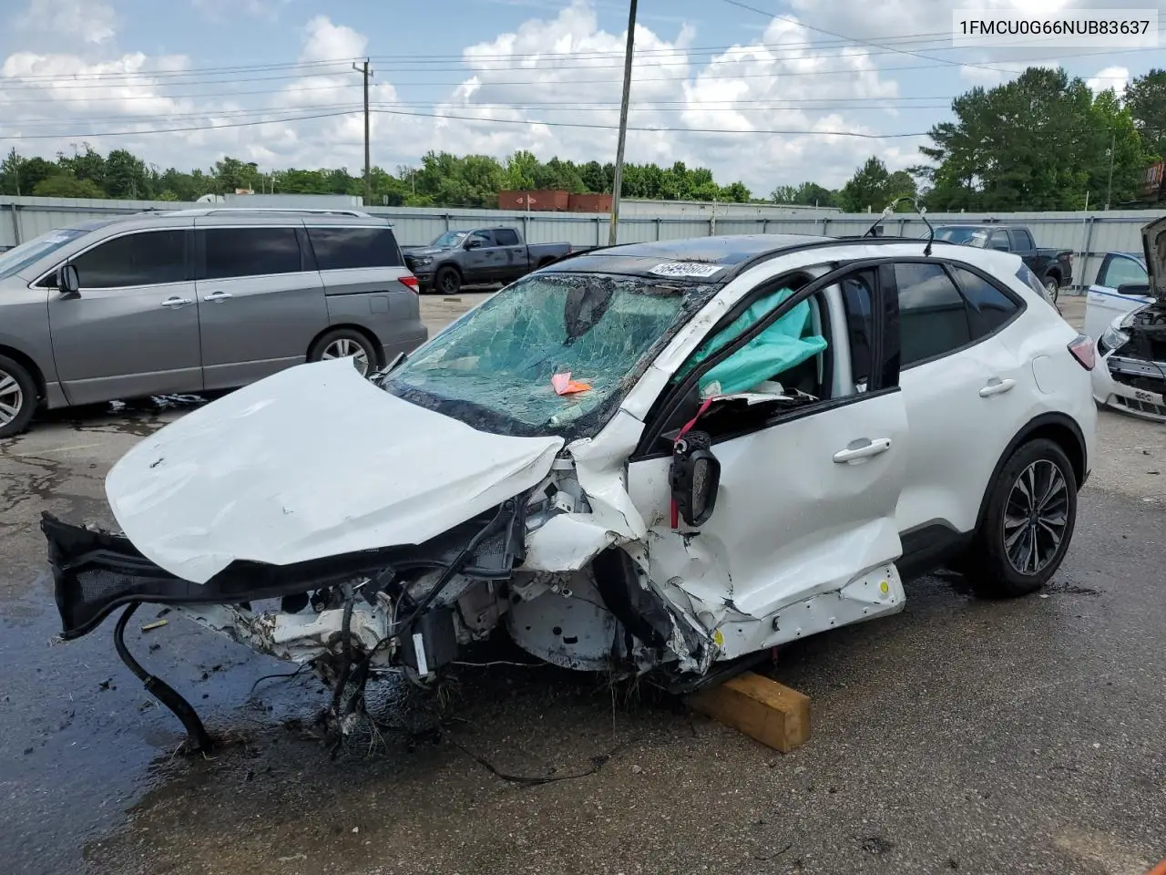 Ford Escape (IV)