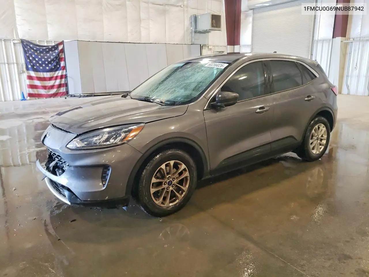 Ford Escape (IV)