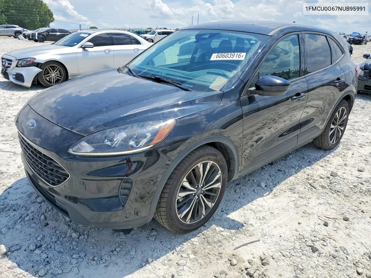Ford Escape (IV)