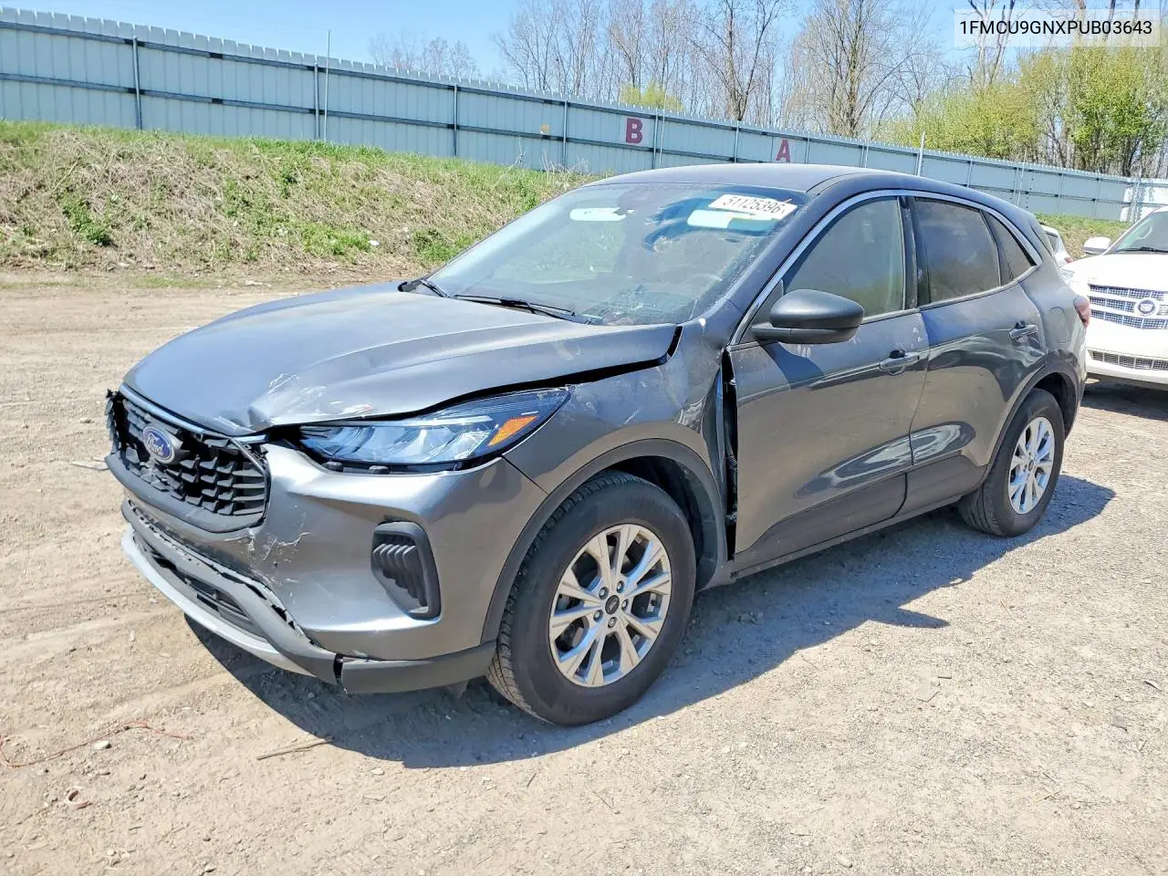 Ford Escape