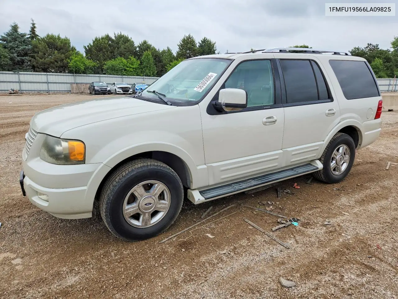 Ford Expedition (II)