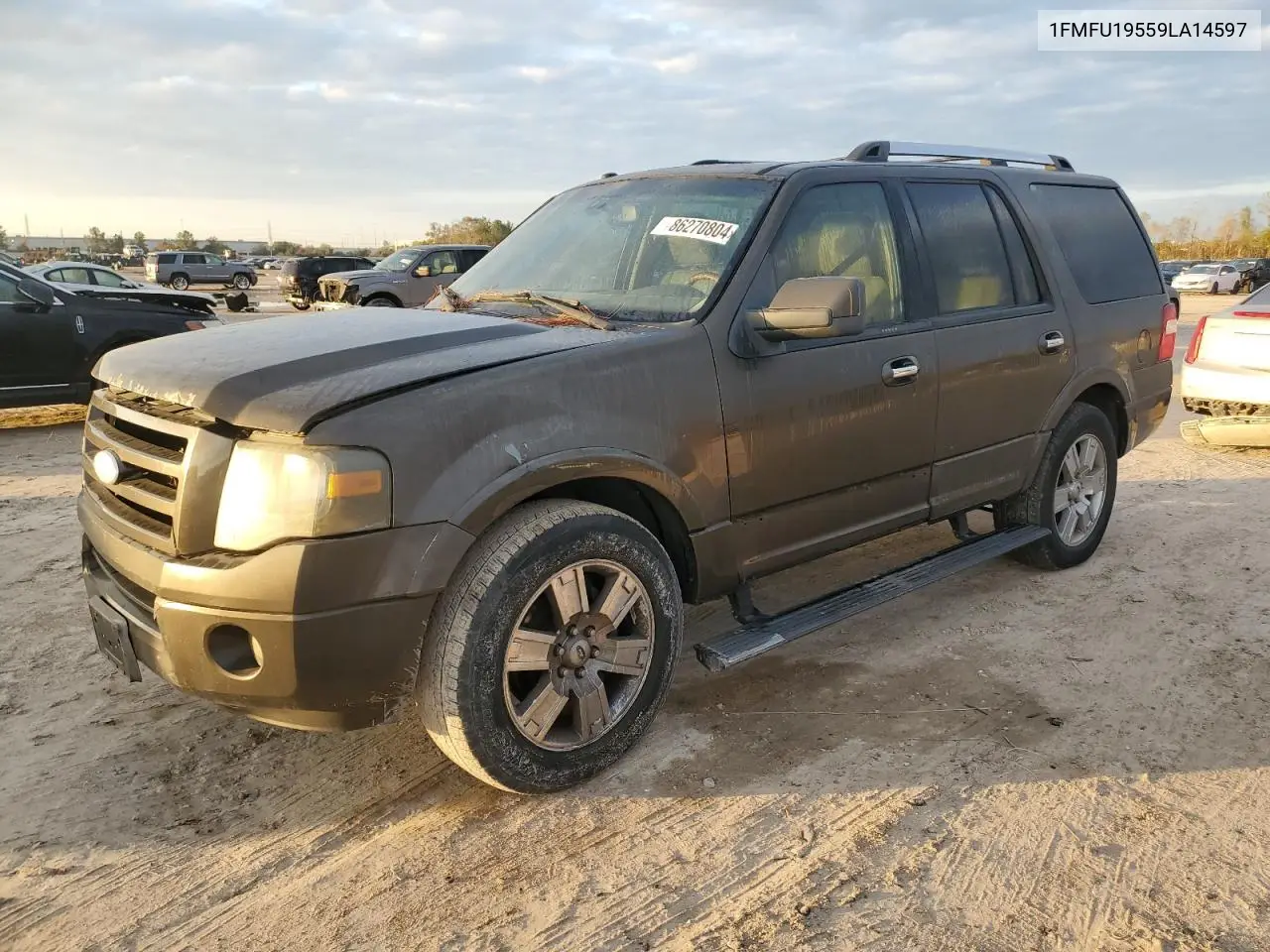 Ford Expedition (III)