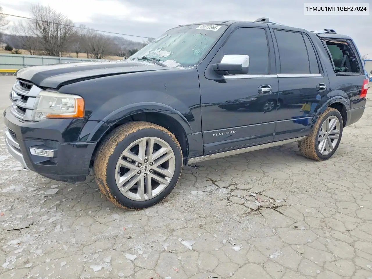 Ford Expedition (III)