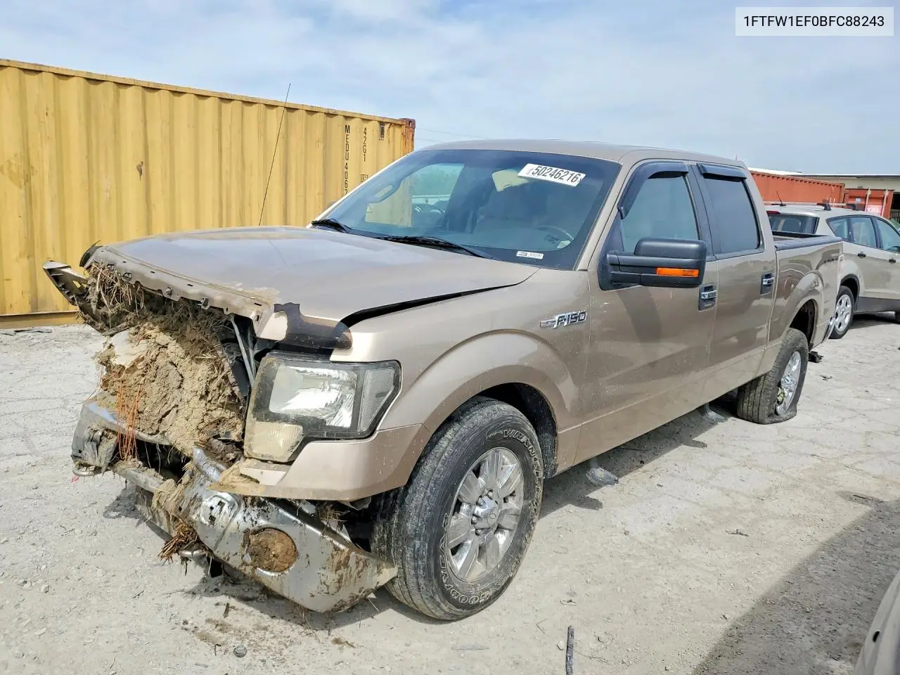 Ford F-150 (XII)