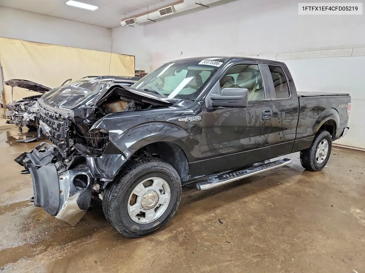Ford F-150 (XII)