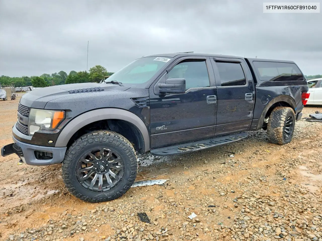 Ford F-150 (XII)