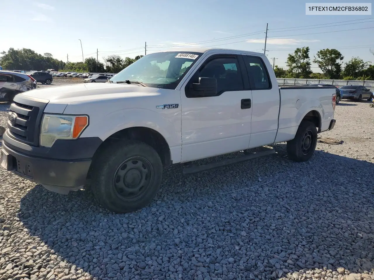 Ford F-150 (XII)