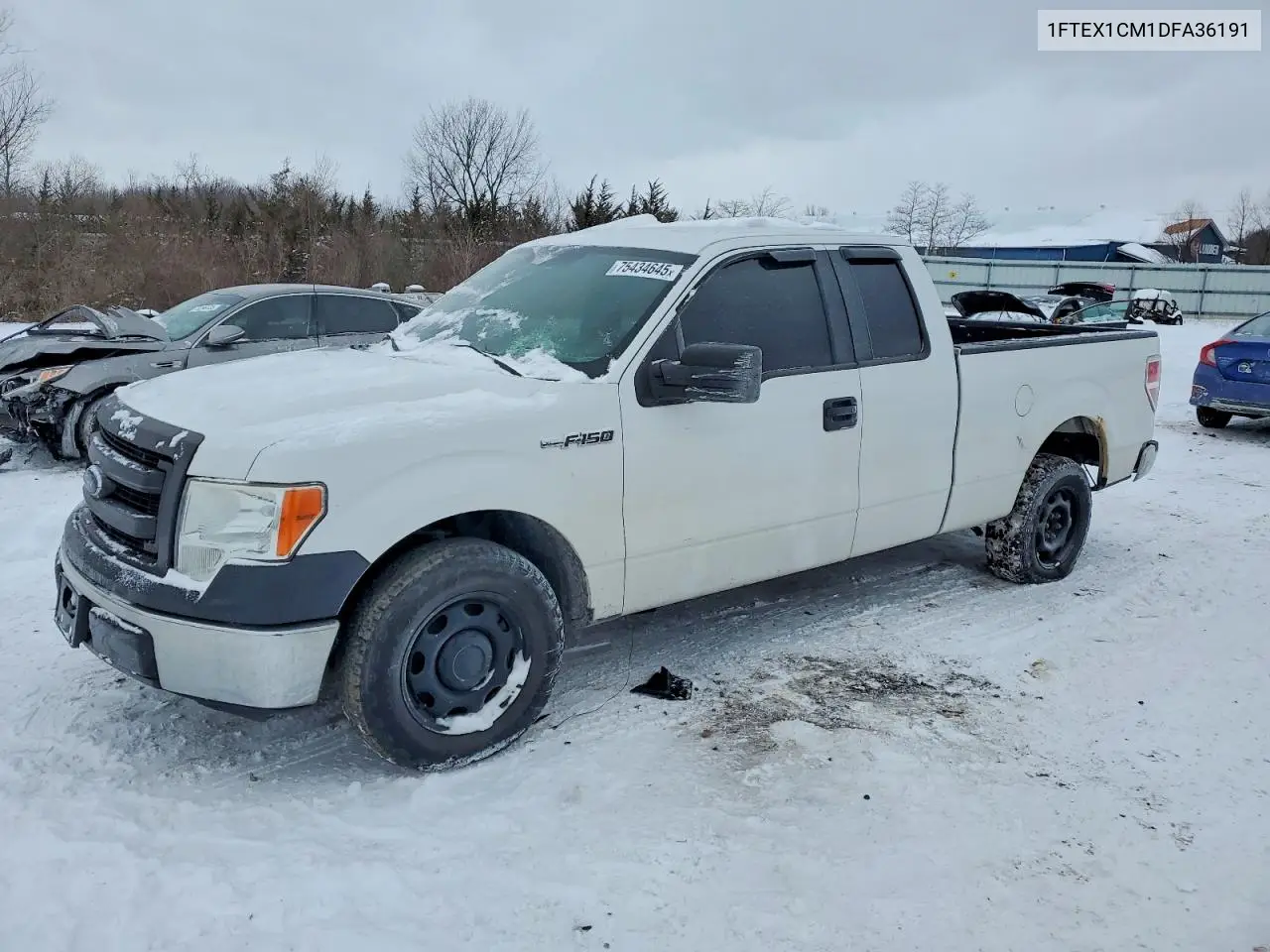 Ford F-150 (XII)