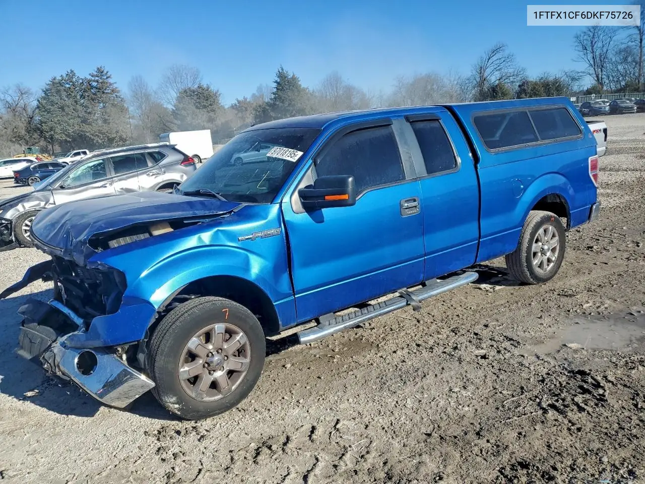 Ford F-150 (XII)