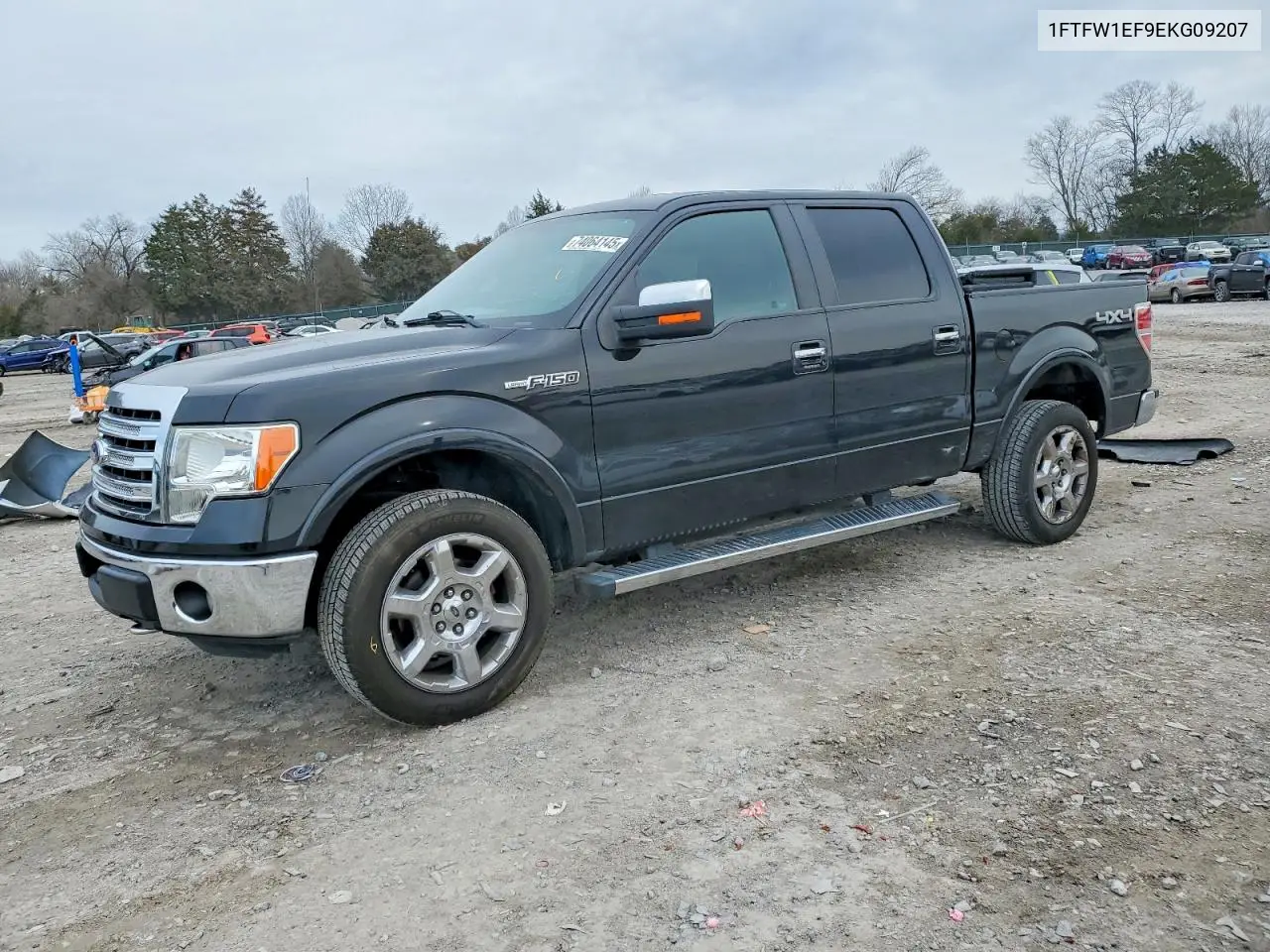 Ford F-150 (XII)