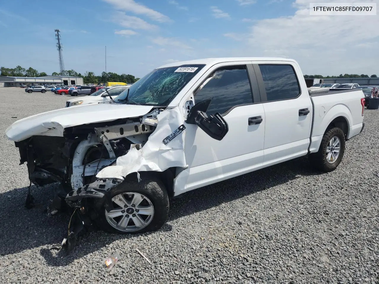 Ford F-150 (XII)