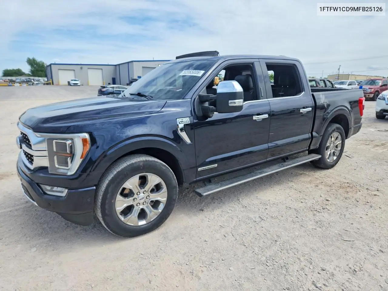 Ford F-150 (XIII)