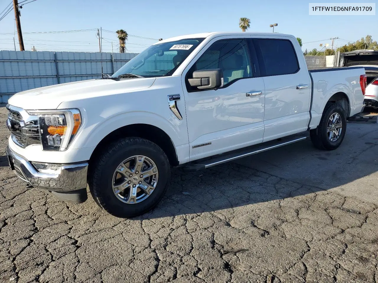 Ford F-150 (XIV)