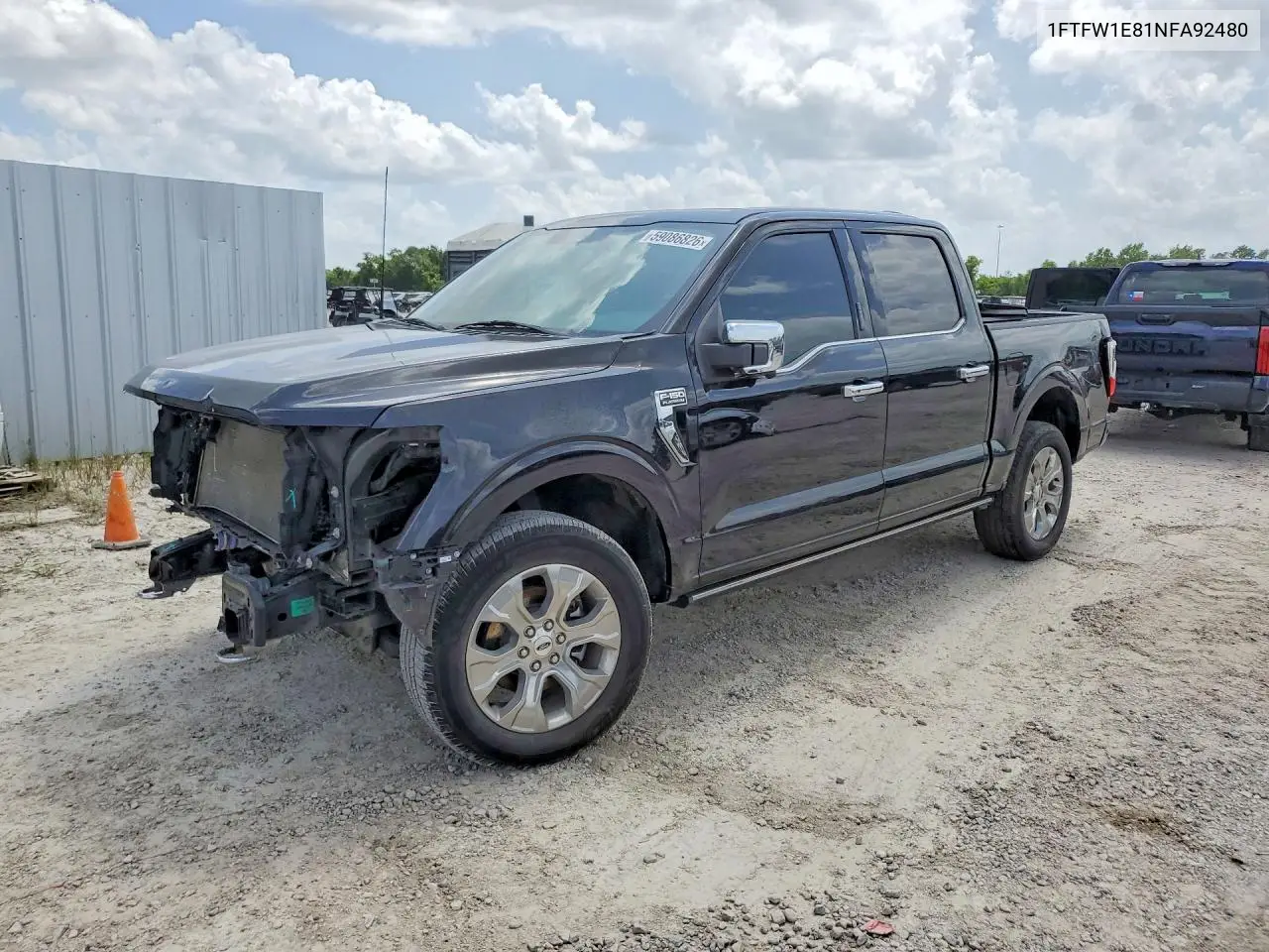 Ford F-150 (XIV)