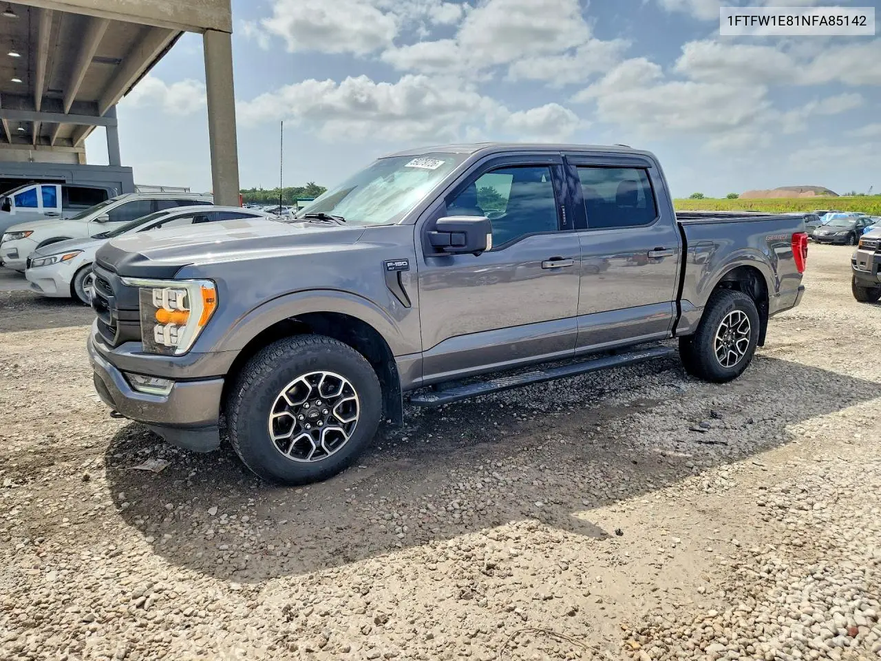Ford F-150 (XIV)