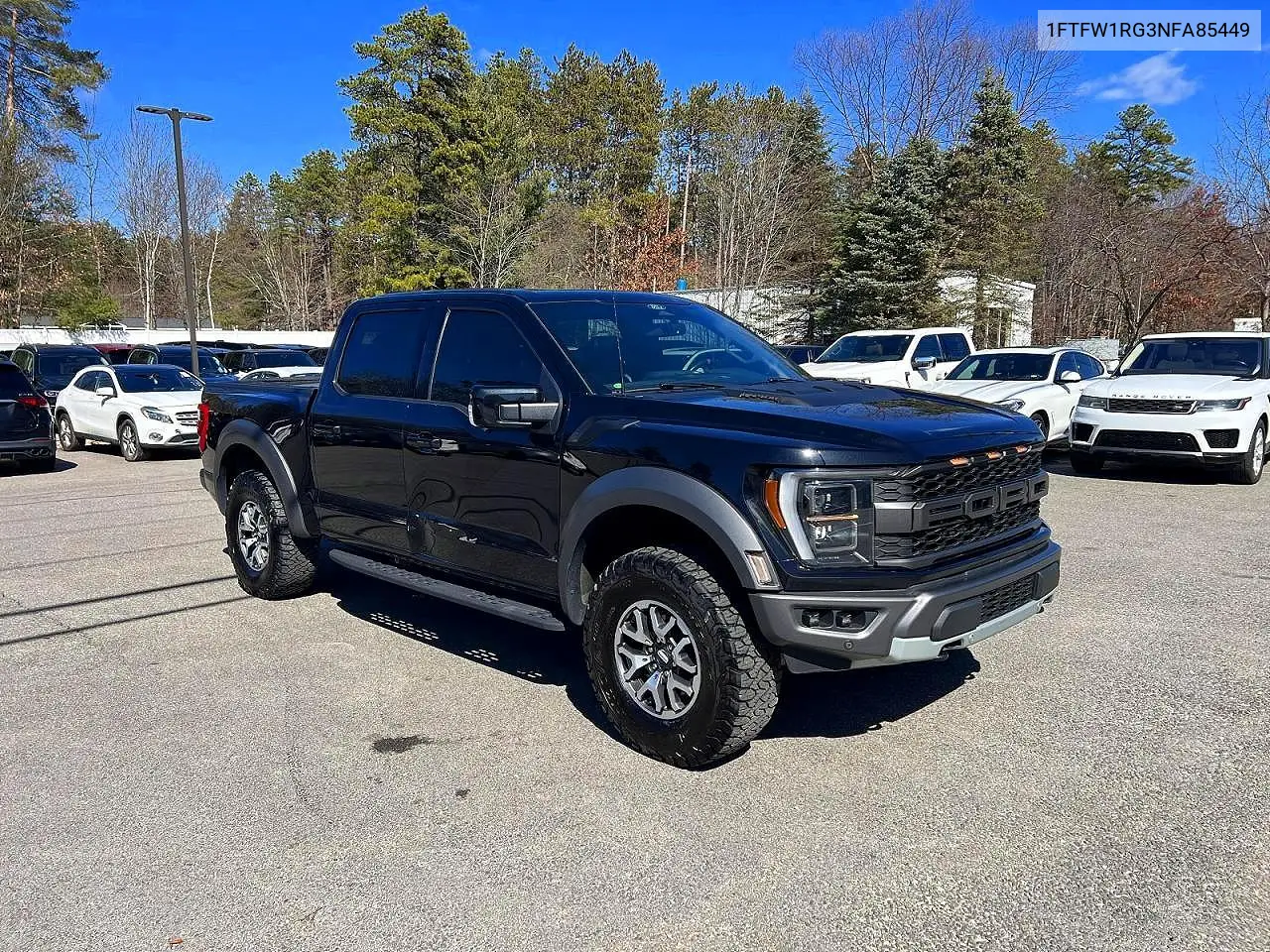 Ford F-150 (XIV)