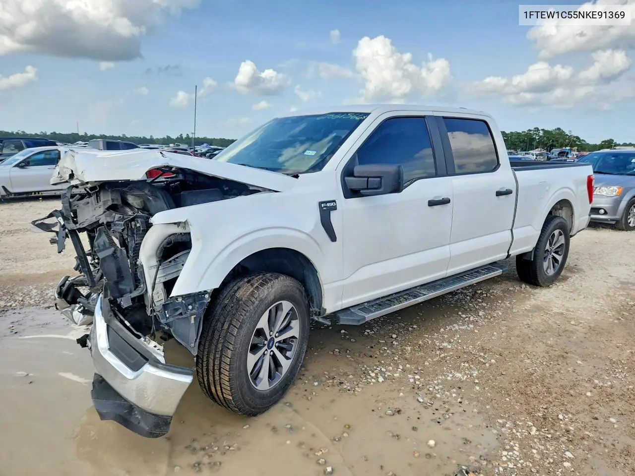 Ford F-150 (XIV)