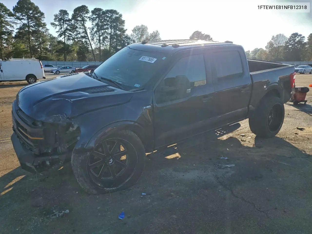 Ford F-150 (XIV)
