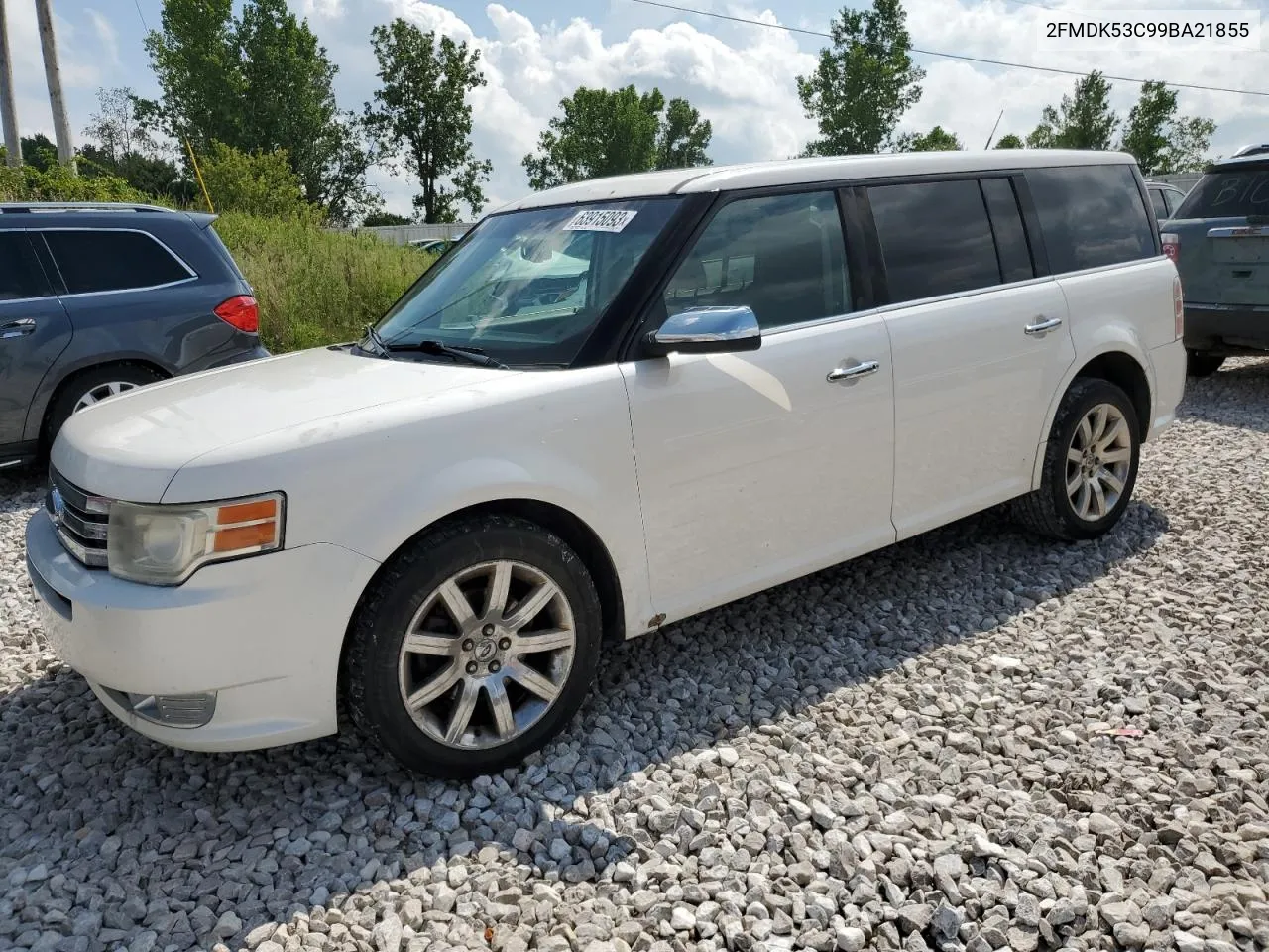 Ford Flex (I)