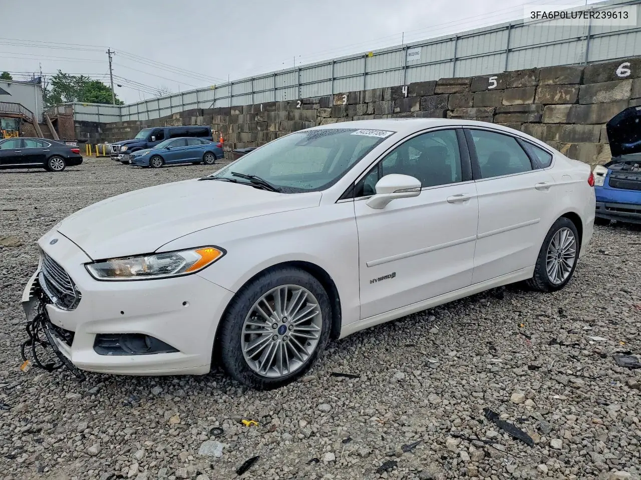 Ford Fusion (I)