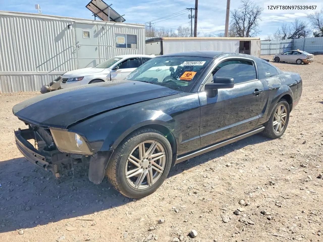 Ford Mustang (V)